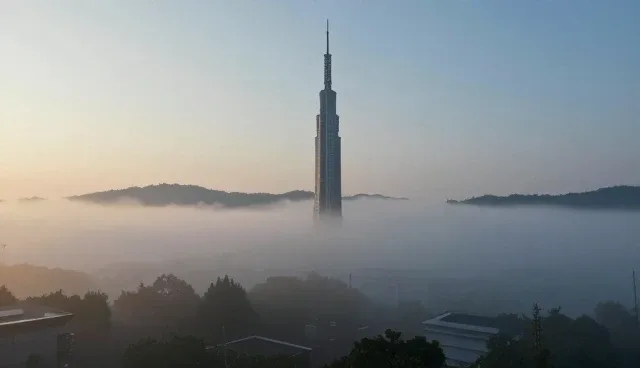 患者管理如何通过技术手段实现流程优化